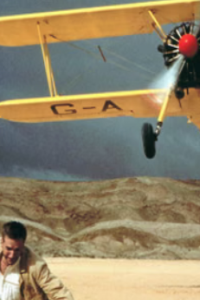 English Patient, The
